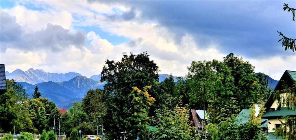 Studio Pokoj Dubaj Centrum Zakopane — Photos 1